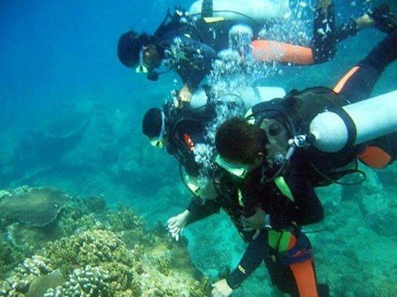 海之号角神秘海怪