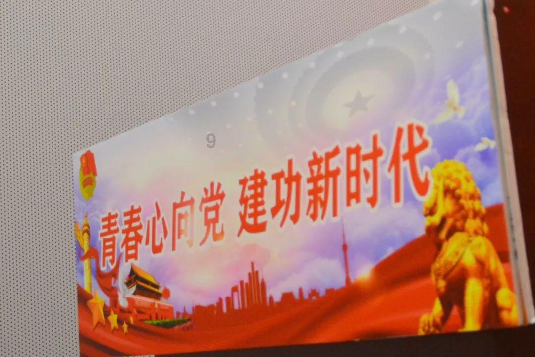 天天趣抓